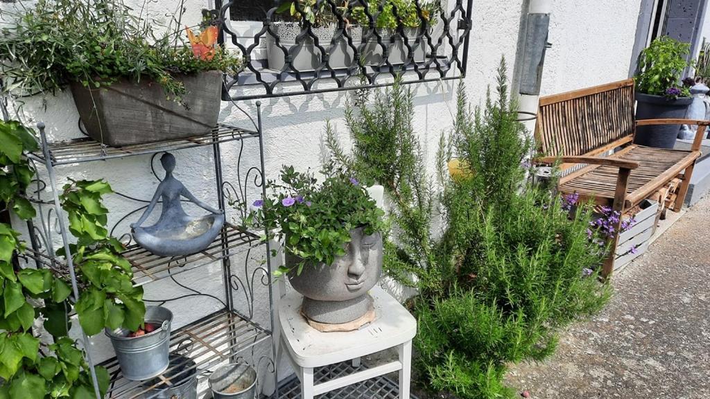 Florentiner Haus Kiefersfelden Kültér fotó